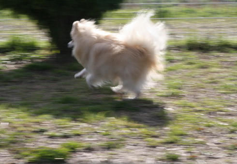 IMG_1465.JPG