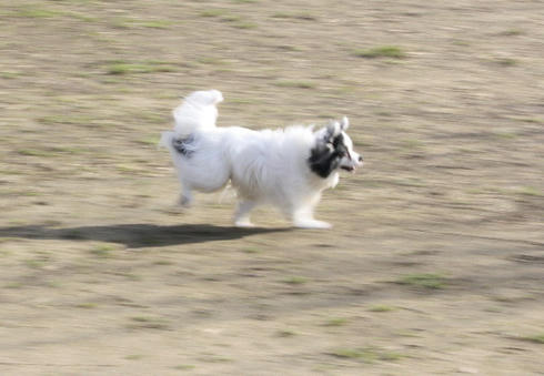 IMG_1477.JPG