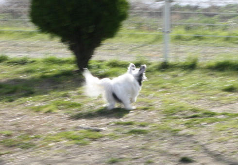 IMG_1480.JPG