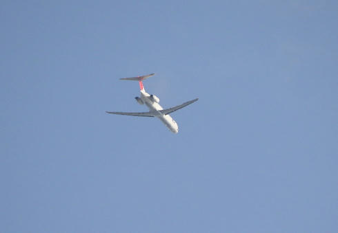 IMG_1445.JPG