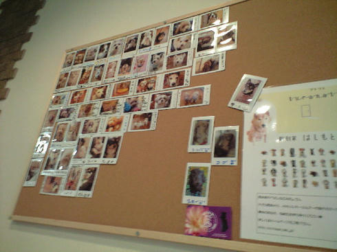 CA390557.JPG
