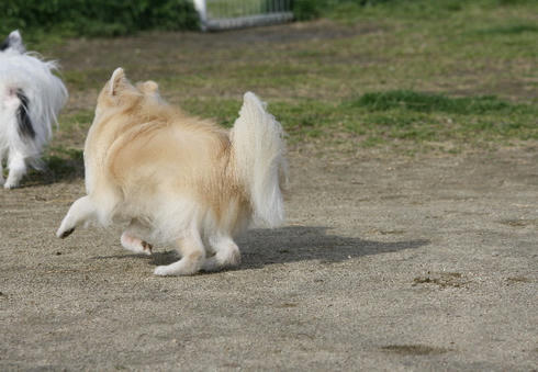 IMG_1406.JPG