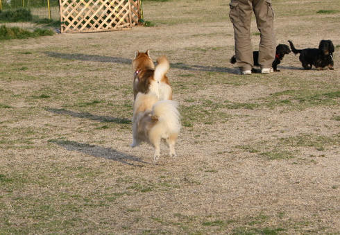 IMG_1923.JPG