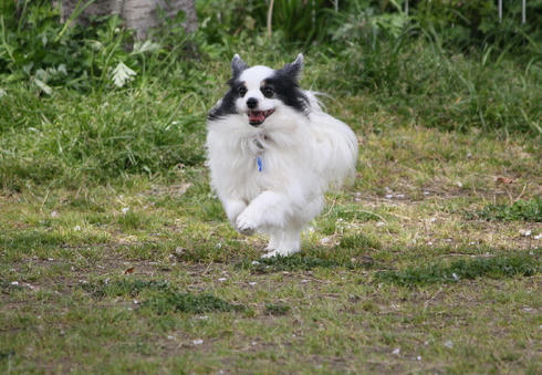 IMG_2035.JPG