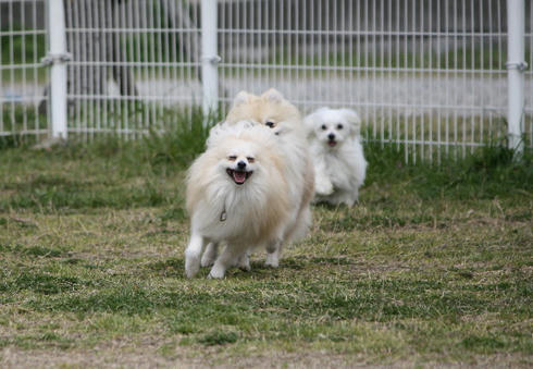 IMG_2050.JPG