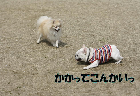 IMG_2060.JPG