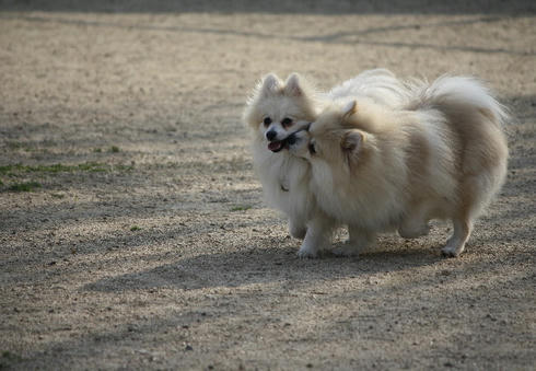 IMG_2182.JPG