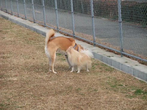 2009_01030020.jpg