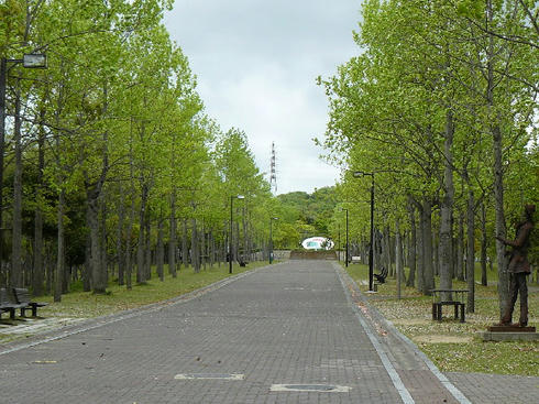 P1060530.JPG