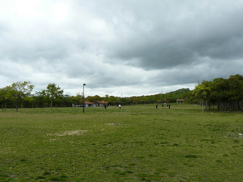 P1060532.JPG