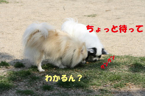 IMG_2794.JPG
