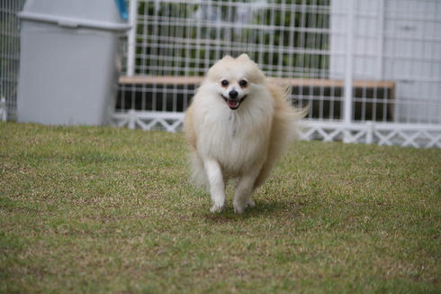 IMG_3220.JPG