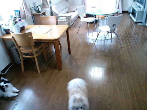 ML_CA3C00230001.jpg