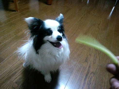 ML_CA3C0043.jpg