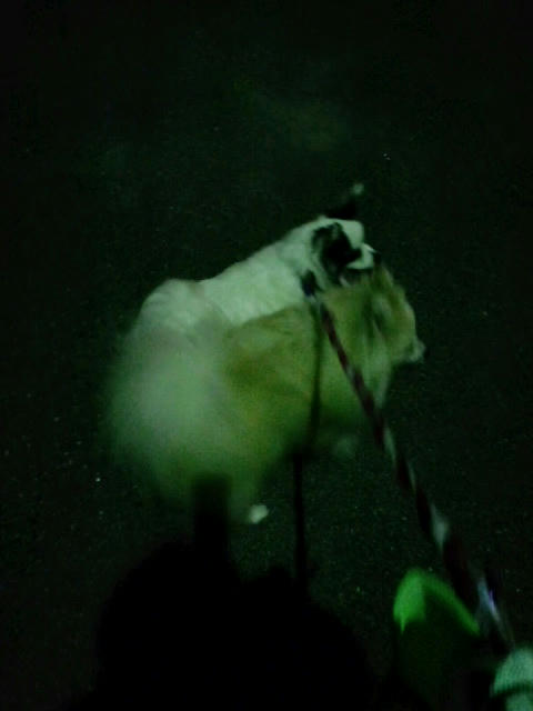 ML_CA3C0087.jpg