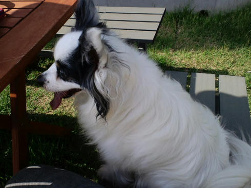 ML_CA3C0105.jpg