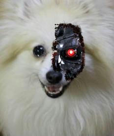 iAmTerminated.jpg