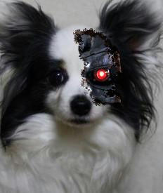 iAmTerminated3.jpg