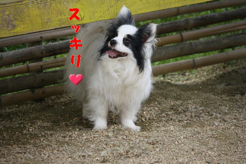 c0627bfb.JPG