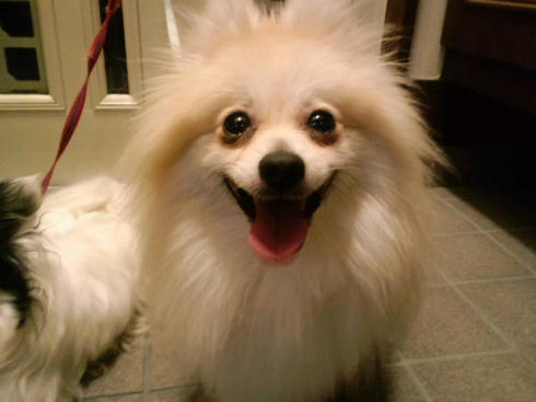 ML_CA3C0159.jpg