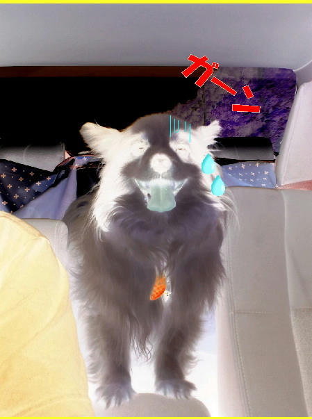 ML_CA3C0176.jpg