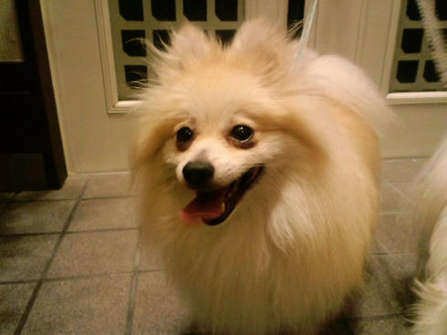 ML_CA3C0210.jpg