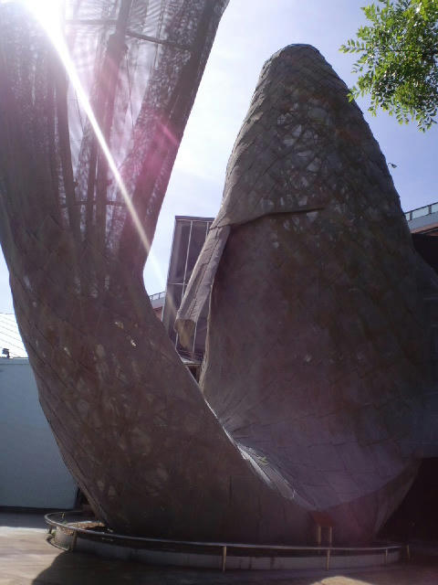 CA3C0341.jpg