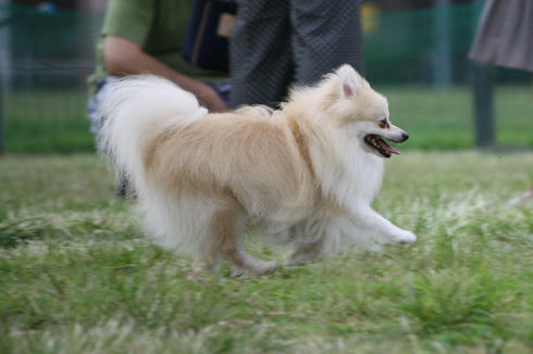 IMG_4419.JPG