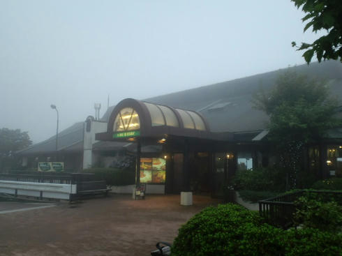 CA3C0471.jpg