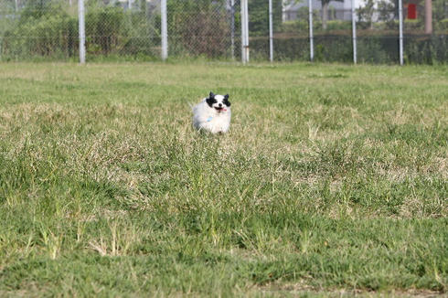 IMG_4765.JPG