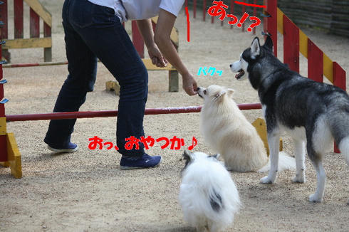 99fc18d8.jpeg
