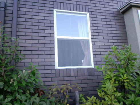 CA3C0879.jpg
