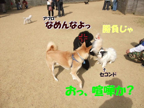 2009_10180006.JPG