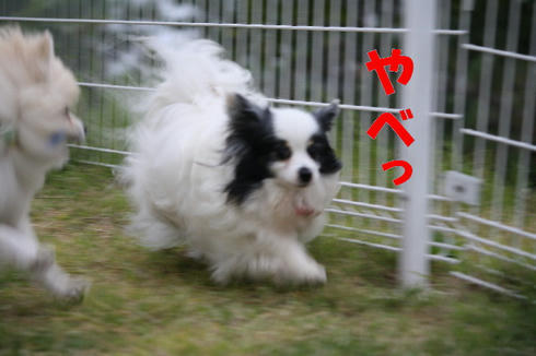 8e611474.jpeg