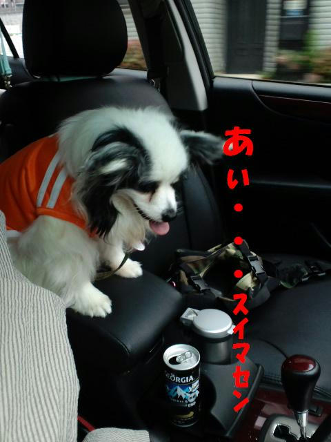 CA3C01112.JPG