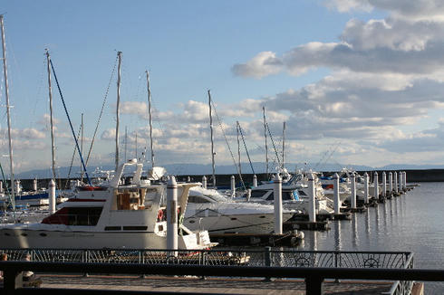 IMG_7480.JPG