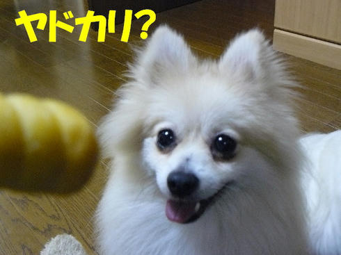 30a4421f.jpeg