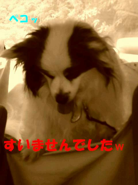 ML_CA3C01681.jpg