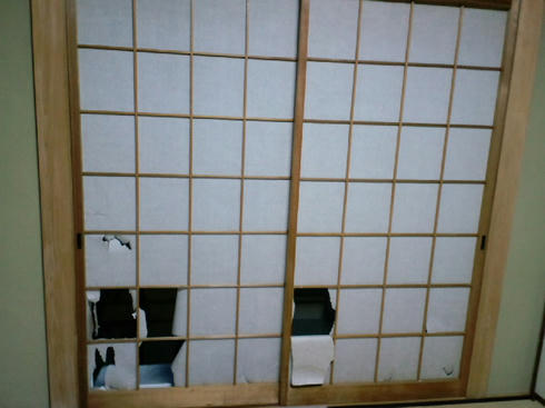 393c9312.jpeg