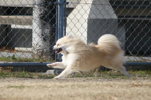 IMG_8471.JPG