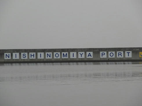 CIMG8493.JPG