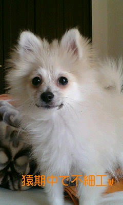 070410_1027~0001.jpg