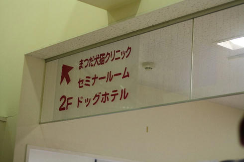IMG_9131.JPG