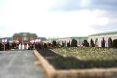 IMG_9627-tiltshift.jpg