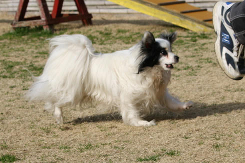 IMG_0115.JPG