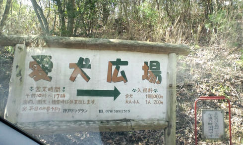 127a6b1d.jpg