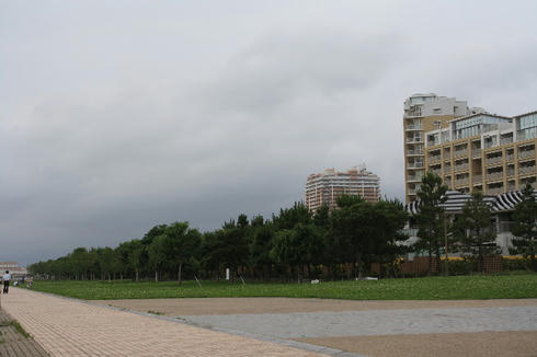 IMG_4127.JPG