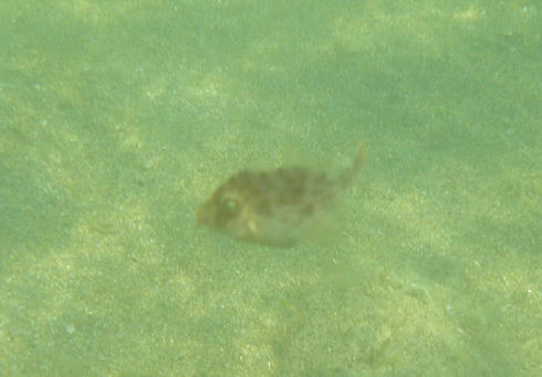 P1070544.JPG