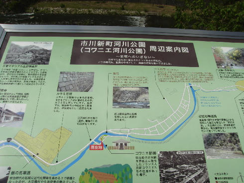 CIMG9428.JPG