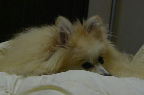 P1080105.JPG
